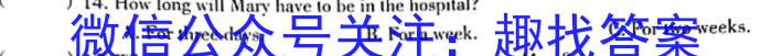 天一大联考 安徽专版2023-2024学年(上)高二阶段性测试(一)英语试题