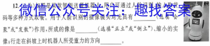 百师联盟 湖南省2023~2024学年高二8月模拟考试物理`