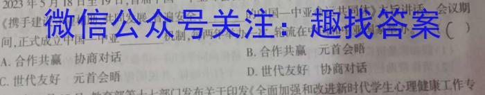 江西省2024届九年级同步单元练习（二）政治~