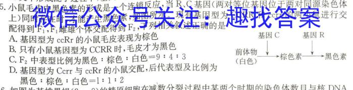 全国大联考2024届高三第一次联考（1LK·新高考-Y）生物试卷答案