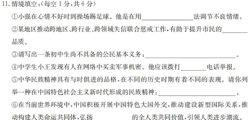 安徽省2024年中考总复习专题训练 R-AH(八)8思想政治部分