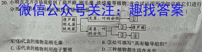 福建省宁德市博雅培文学校2023-2024学年七年级上学期开学考试生物试卷答案