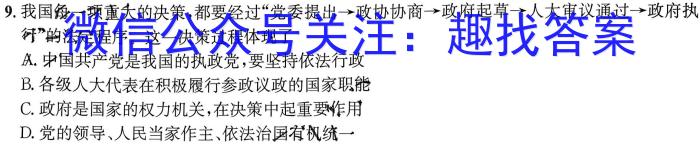 河南省新乡市2024届中小学生综合素养绿色评价活动政治~