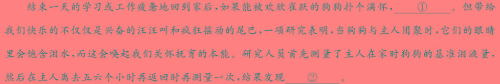 辽宁省2023-2024学年七年级(上)月考试(十月份)语文