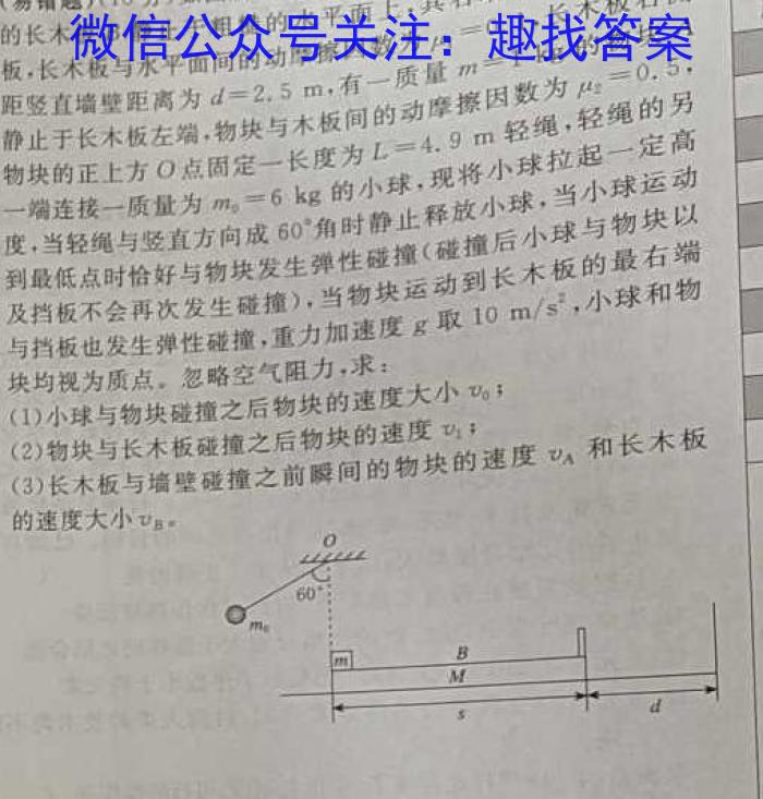 2024届湖南省高三入学摸底联考(8月).物理