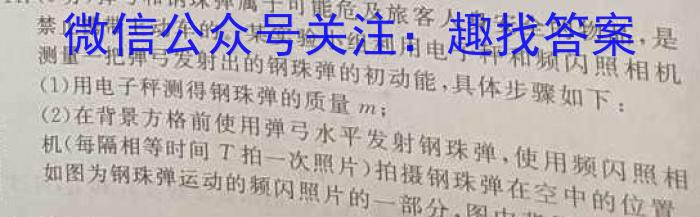 湖南省长沙市北雅中学2023年秋季（九年级）入学练习q物理