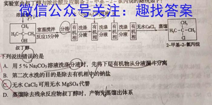 3新时代NT教育2023-2024学年高三入学摸底考试（新高考）化学