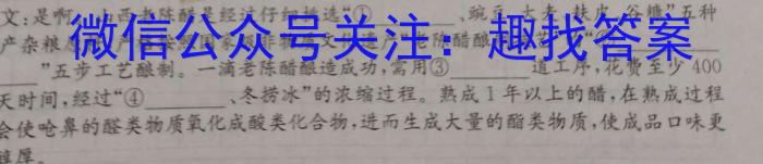 稳派大联考2024届高三年级10月联考/语文