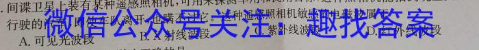 2024届安徽T12教育九年级第一次调研模拟卷物理`