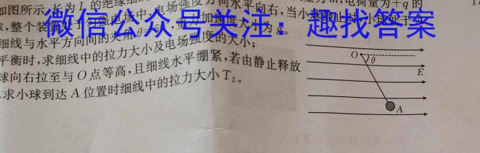 云南师范大学实验中学昆明湖校区2023-2024学年上学期初2024届开学学情检测q物理