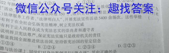 安徽省2024届九年级期末综合评估（4L R）政治y