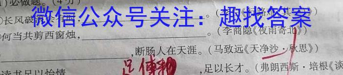 2024届齐鲁名校大联考高三第一次联考/语文