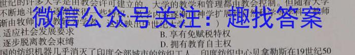 河南省教育研究院2024届新高三8月起点摸底联考化学试卷及参考答案历史