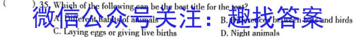 智慧上进·2024届高三总复习双向达标月考调研卷（一）英语