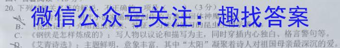 安徽省2023～2024学年九年级开学摸底练习语文