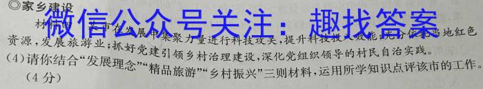 安徽省2023-2024学年九年级上学期期中教学质量调研政治~