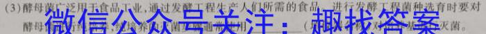 河北省琢名小渔2023-2024学年度高二年级开学检测生物试卷答案