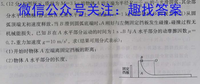 安徽省2024届九年级阶段评估1L R(一)q物理