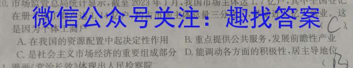 皖智教育·全程达标卷·安徽第一卷·2023-2024学年九年级全程达标卷期中调研卷政治~