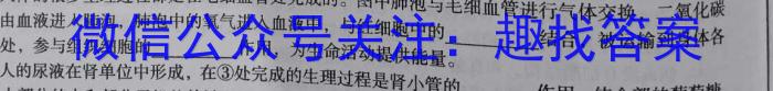 吉林省长春市第八十九中学2023-2024学年九年级上学期期初监测（开学考试）生物