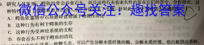 2023-2024学年度广西省高二年级9月联考生物试卷答案
