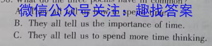 安徽省2023-2024学年度九年级阶段诊断【R-PGZX F-AH】英语