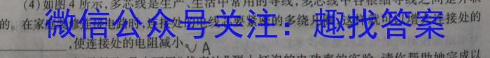 安徽省池州市2023～2024学年度八年级开学考试q物理