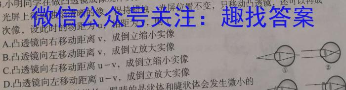 陕西省2023~2024学年度九年级第一学期开学收心检测卷f物理