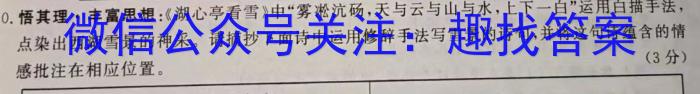 安徽省2023-2024学年度第一学期九年级第一次诊断性阶段检测语文