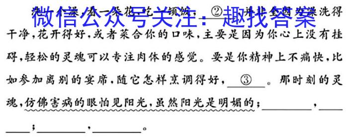 2024届高三试卷9月联考(糖果)语文