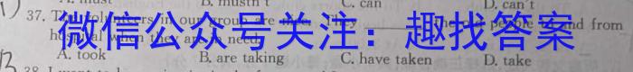 2024届四川巴中零诊8月考试英语试题