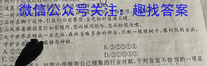 安徽省2024届高三10月质量检测卷/语文