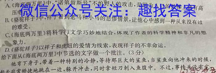 湖南省长沙市2024届九年级第一次质量调研检测语文