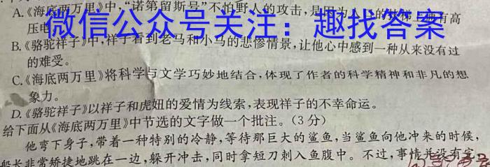 安徽省皖江名校联盟2024届高三8月联考（A-024）语文