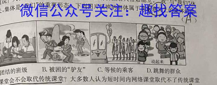 百师联盟2025届高二年级模拟考试（湖南卷）政治试卷d答案