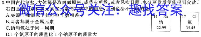 b江西省2024届九年级阶段评估（一）【1LR】化学