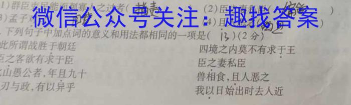 安徽省2023-2024学年度九年级第一次综合性作业设计/语文