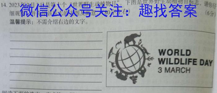 河南省郑州市第二初级中学2023-2024学年上学期九年级开学检测语文