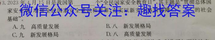 九师联盟·2024届高三10月质量检测巩固卷(新教材-LG）政治~