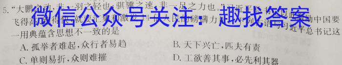 2024届河南省高三阶段性考试(24-68C)政治~