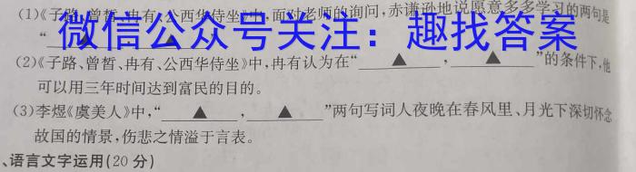 皖智·全程达标卷·安徽第一卷·2023-2024学年九年级单元检测卷/语文