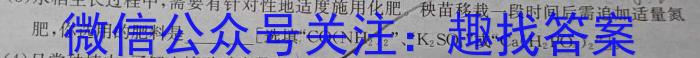 q2024届百万大联考高三年级8月联考（1002C）化学