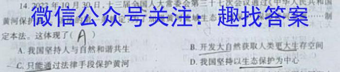 九师联盟 2024届9月高三高考仿真模拟(LG)政治试卷d答案