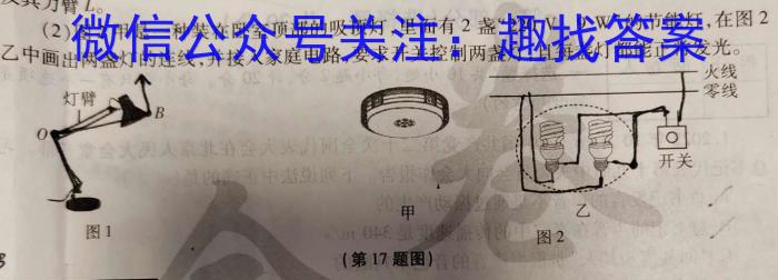 安徽省2023-2024学年高二年级上学期阶段检测联考l物理