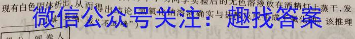 3九师联盟2022-2023学年高三教学质量检测（开学考）化学