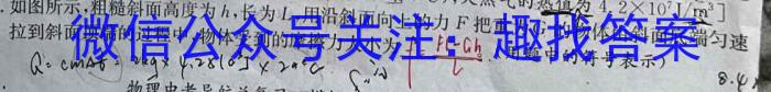 陕西省2023-2024学年秋季高二开学摸底考试（8171A）q物理