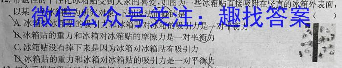 百师联盟2024届高三开学摸底联考（新教材老高考）l物理