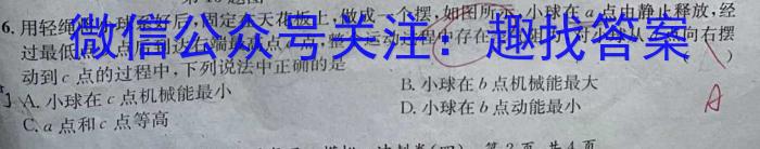 福建省漳州市2024届高中毕业班第一次教学质量检测物理.