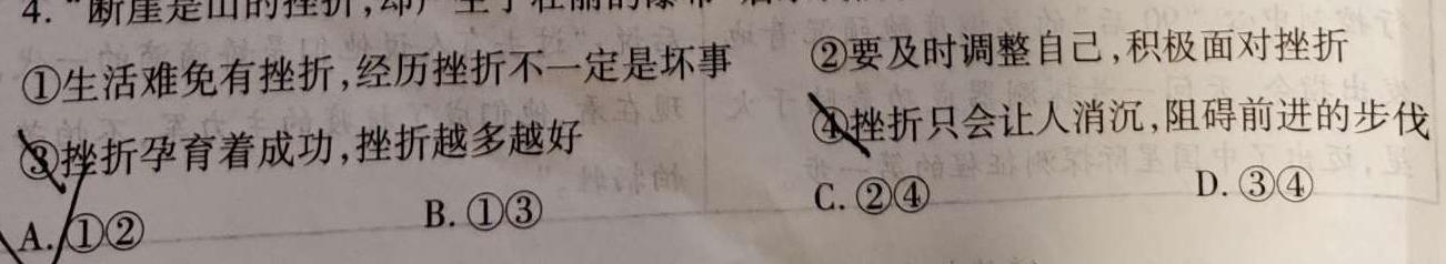 【精品】陕西省2024年普通高等学校招生全国统一考试仿真模拟试题思想政治