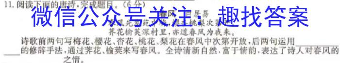 安徽省2023-2024学年九年级第一学期教学质量检测一(10.4)/语文